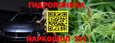 дживик Волжск